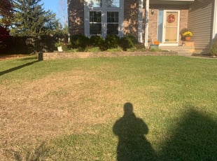 Leaf Removal by Edgar Hernandez for Sarah C. in Columbus, OH