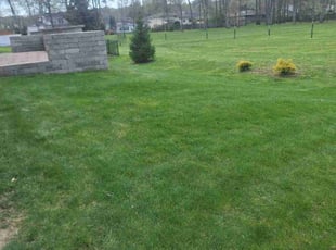 Mike W.'s Yard Cutting service result