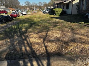Leaf Removal by Samuel Lomax for Nakia M. in Memphis, TN