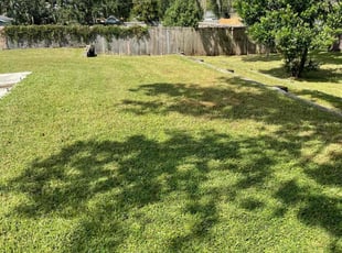 Ilke T.'s Grass Cutting service result
