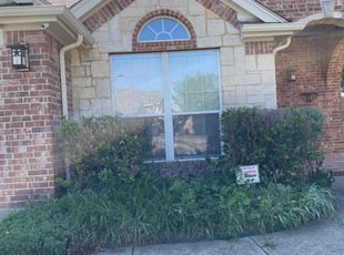 Bush Trimming by Miguel Ibarra for Karissa S. in Arlington, TX