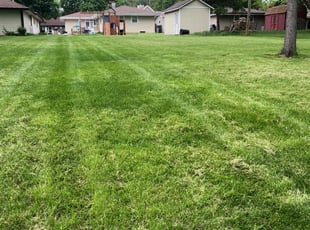 Heidi L.'s Lawn Care service result