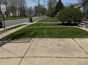 Jacquelyn S.'s Lawn Service service result