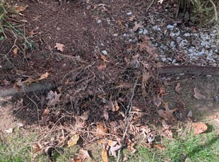 Leaf Removal by Thomas Cottle for Salena R. in Toano, VA