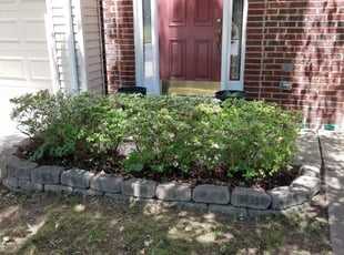 Bush Trimming by Mark Burke for Lisa T. in Manassas, VA
