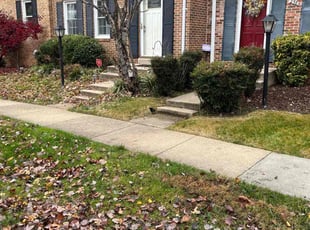 Leaf Removal by Jason Scott for Michelle L. in Rockville, MD