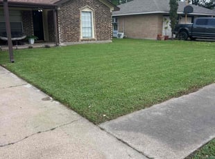 Paula C.'s Lawn Mowing Service service result