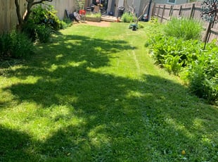 Weeding by Keith Moultrie for Kate L. in Laurel, MD
