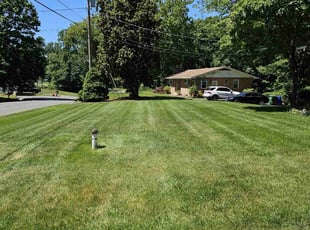 Rodney C.'s Lawn Mowing service result