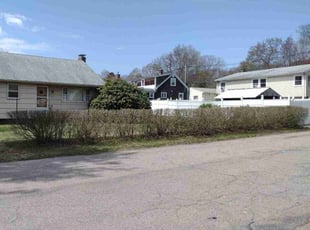 Bush Trimming by Efstathios Tsafaridis for Patricia P. in Brockton, MA