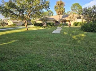 Michelle U.'s Lawn Mowing Service service result