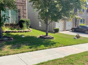 Jada M.'s Lawn Care service result