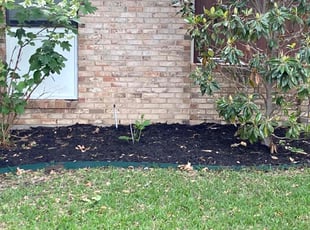 Mulching by Shameem Mohmand for Jared W. in Carrollton, TX