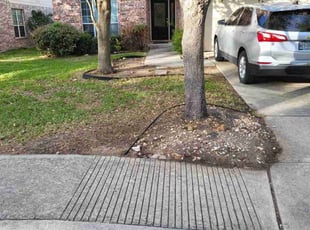Leaf Removal by Jason Westgor for Rey R. in San Antonio, TX