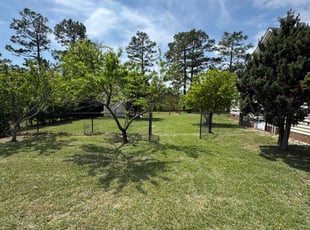 Dannettia B.'s Lawn Care service result
