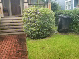 Bush Trimming by Rolando Callejas for Allison S. in Houston, TX