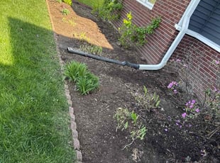 Weeding by Luis Contreras for Betsy R. in Fishers, IN