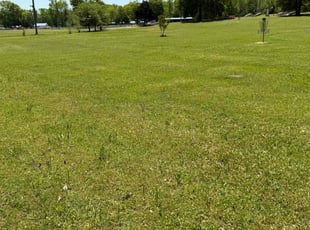 Leaf Removal by Kathia Aguilar for Eric P. in Alabaster, AL