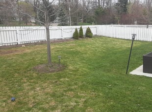 Leaf Removal by Derek Heidenreich for Saurabh R. in Verona, WI