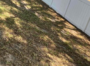 Leaf Removal by Johnny Torres for Kurt J. in Riverview, FL