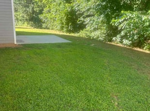 Russell k.'s Yard Cutting service result