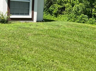 Brandon M.'s Lawn Care service result