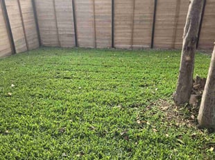 Sara D.'s Lawn Care service result