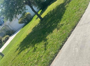Mary F.'s Lawn Care service result