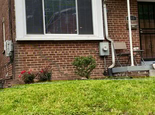 Bush Trimming by William Alvarado for Tiane D. in Washington, DC