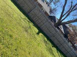 Bush Trimming by Jose Tovar for Sarah D. in North Richland Hills, TX