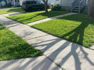 Aurora B.'s Yard Cutting service result