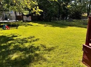 Meg C.'s Lawn Care service result