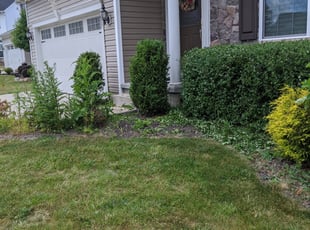 Bush Trimming by Willie Tisdel for Matt L. in Cleveland, OH