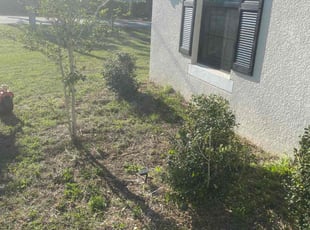 Bush Trimming by Thomas Niederhelman for Rasheena P. in Brooksville, FL