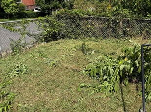 Kathi H.'s Bush Trimming service result