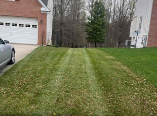 Steven B.'s Lawn Mowing Service service result