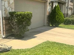 Bush Trimming by Edwin Fernandez for Shawn M. in Katy, TX
