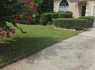 Tawana H.'s Bush Trimming service result