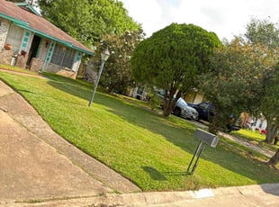 Monica s.'s Lawn Mowing service result