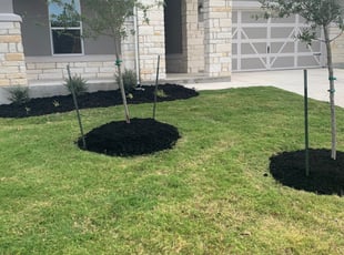 Mulching by Sandra Marie Williamson for Philip M. in Round Rock, TX