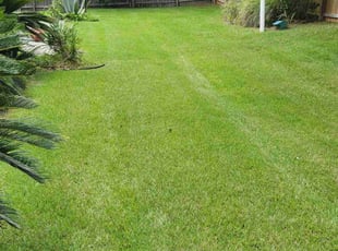 Justin F.'s Lawn Service service result