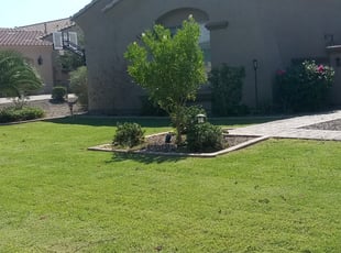 Bush Trimming by Andrew Hoodzow for Adrienne E. in Gilbert, AZ