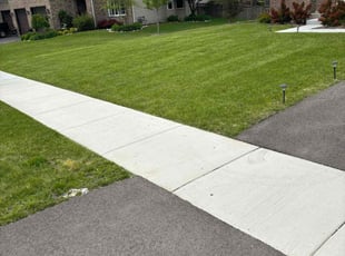 BRITTANY H.'s Lawn Mowing service result