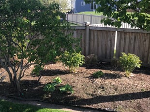 Weeding by Alonzo Harris for Ron M. in Joliet, IL