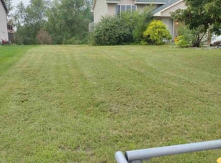 Maurice A.'s Yard Cutting service result