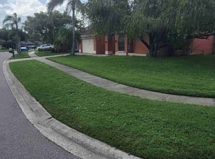 Jeni A.'s Lawn Mowing service result