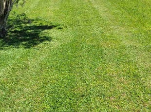 Jarred j.'s Lawn Service service result