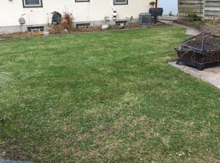 Cleanups by Andy Yurek for Danie J. in Minneapolis, MN