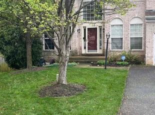 Greg G.'s Lawn Care service result