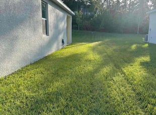 Shelly K.'s Yard Cutting service result